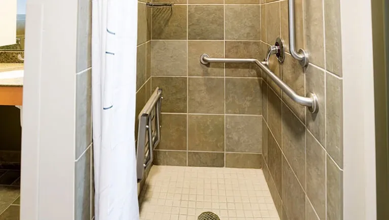The shower in the accessible Northwoods Suite (Accessible Shower)
